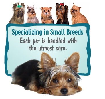 Specializing in Small Breeds. Each pet is handeled with the utmost care.